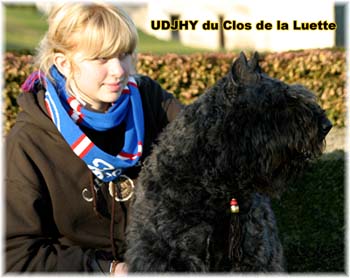 Elevage du CLOS DE LA LUETTE - COPYRIGHT DEPOSE